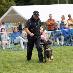 Country Dog Show